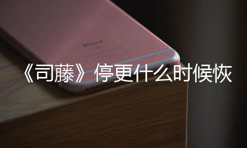 播出藤停更结局揭秘更新 大恢复司什么时候时间