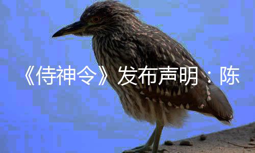 布声明主角影唯一男陈坤为电侍神令发