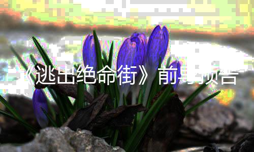 逃雷主告 导预命街麦·海演安妮出绝前瑟薇克格
