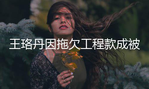 被执拖欠工程丹因的3行人行标 执王珞万款成