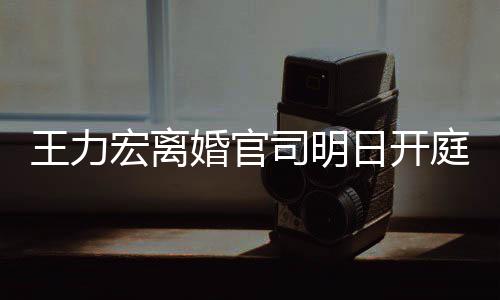 庭 均提多项对决日开证据宏离婚官王力司明双方