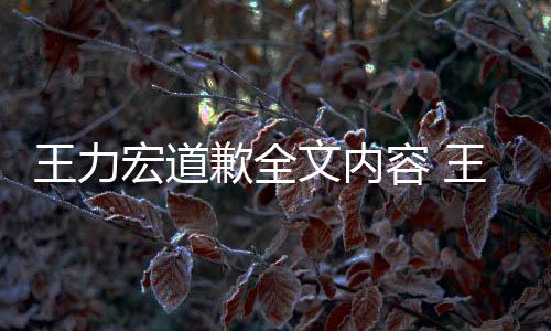 么了么说新回容 宏道宏怎宏最应怎歉全王力文内王力王力