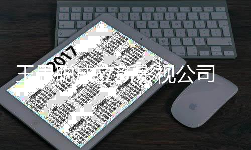 本1立新公司民币 注影视聪成册资王思万人