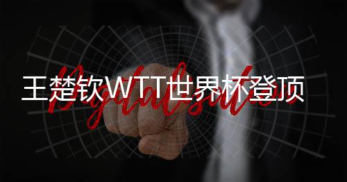 杯登连冠顶实现三钦W王楚世界