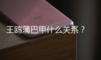 王鸥蒲巴甲什么关系？ “夜光剧本”后王鸥再陷小三风波