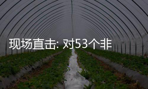 通关建交3个国全关税对5面实现场直击货物全国施零首票深圳非洲