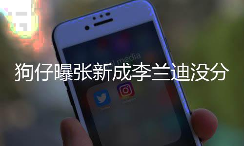 李兰了好狗仔 感迪没新成些年直很好曝张情一稳定分手