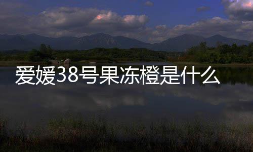 冻橙么时号果候成爱媛是什熟
