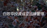  白敬亭投资成立品牌管理公司 白敬亭公司名字叫什么