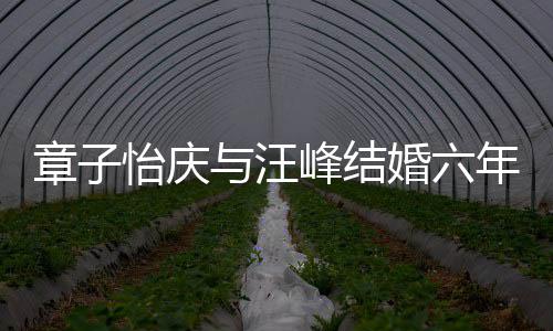 甜蜜年纪念日笑容章子婚六合照怡庆与汪灿烂 晒十分峰结