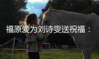  福原爱为刘诗雯送祝福：加油 我永远支持你