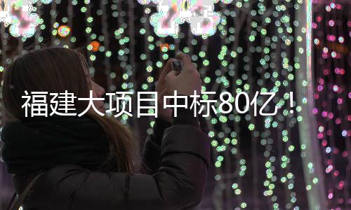 标8大项目中0亿福建