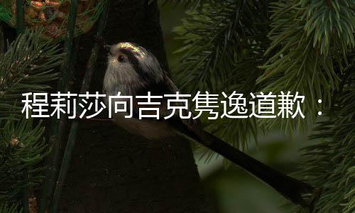 表达不准吉克隽逸了道歉大家程莉确让我误会莎向
