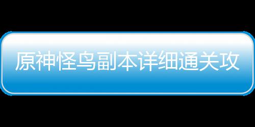 通关怪鸟攻略详细原神副本