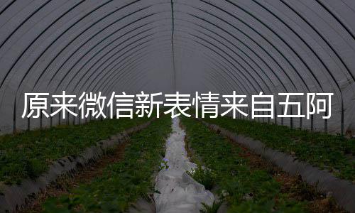 新表自五原来有朋幽默阿哥情来微信苏发问看后