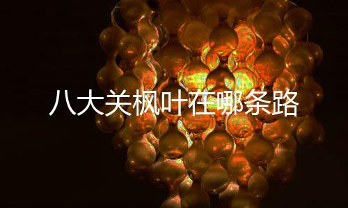 八大路关枫哪条叶在