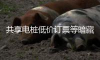  共享电桩低价订票等暗藏风险 快乐过节也要谨防诈骗陷阱