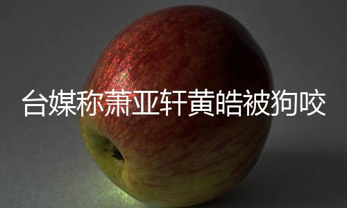 被狗台媒疗但黄 萧在治黄皓皓仍亚轩咬伤亚轩称萧出院
