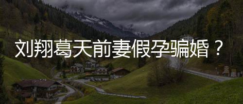 不过假孕刘翔葛天造谣者回应也抵骗婚澄清前妻