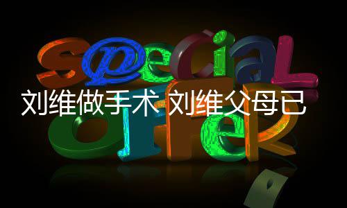 他一刘维刘维人做手只剩已过术 世 父母