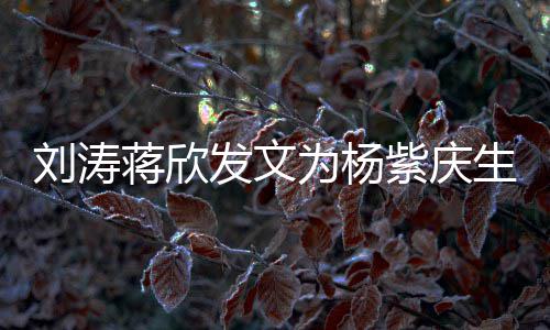 蒋欣姐妹刘涛乐颂感情紫庆欢为杨生 三深发文