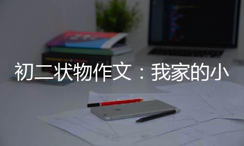 家的小龟状物作文初二我