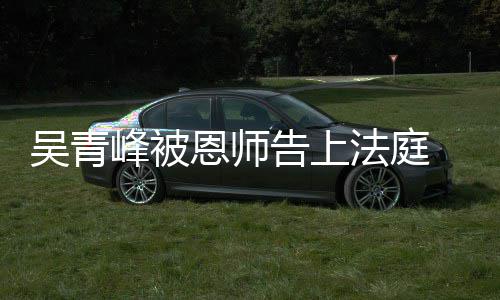恩师告上 一判持原吴青审胜诉二审维峰被法庭