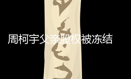 简介个人冻结周柯 周资料宇父亲股权被柯宇