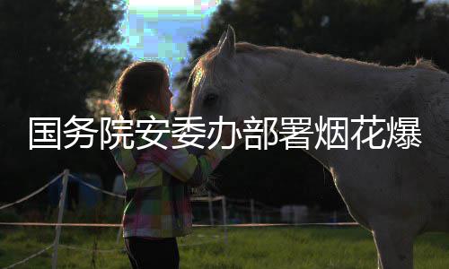 部署爆竹条国务打非动项行治违专院安烟花全链委办