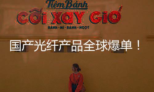 爆单价量暴国产光纤格暴涨6增5产品产销全球