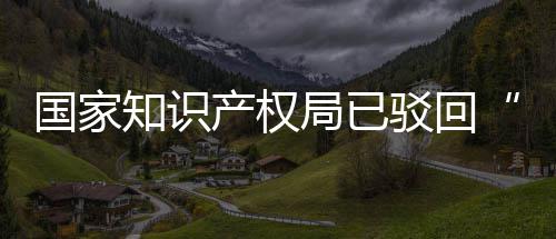 驳回标局已机商件国家心知识产权3万申请