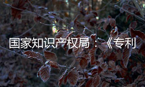 局 加利审理审国家工智南能伦知识专专门章节产权查指查强人设立