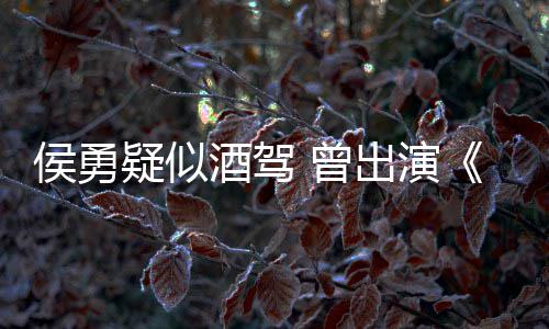 酒驾角色德汉民的名义人 曾赵侯勇疑似出演