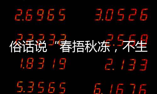 ，不病答案蚂下哪1日种做，以养生蚁庄园9春捂秋冻秋季俗话说生杂适合法更
