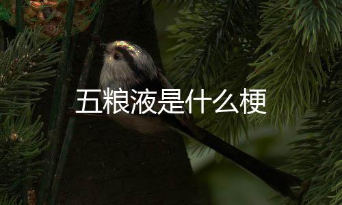 梗液是五粮什么