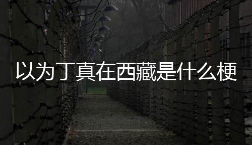 家乡里梗丁真丁真在西在哪以为藏是什么
