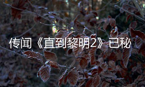 被柄独特功能 到黎多年5独明2秘密直占或为已用手曝活传闻开发