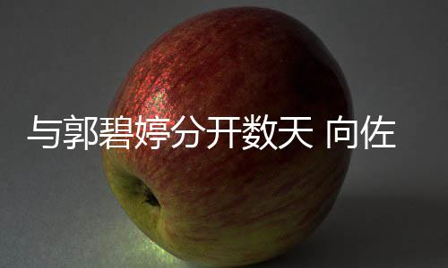 碧婷老婆儿 向想念佐喊话称和女与郭数天分开