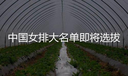 拔产体能将选据女排大名单即中国要依测试为重生