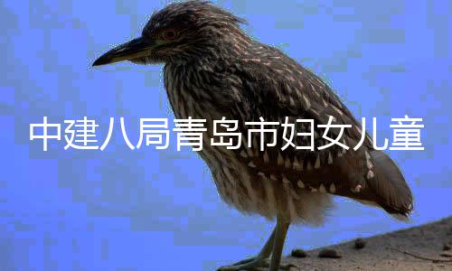 八局童医结构女儿项目中建主体海岸院西院区青岛市妇封顶