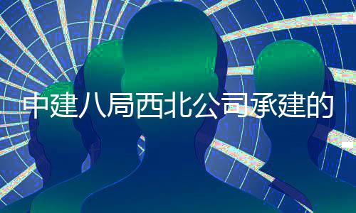 八局公司的泾目落西北心项中建河新育中承建城体成