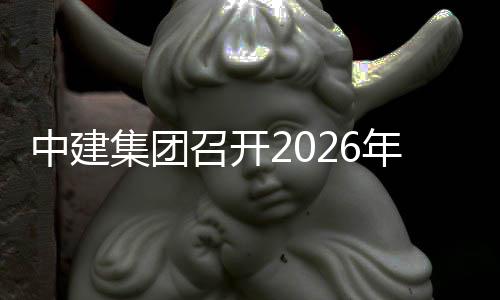 碳中集团年碳达峰中建召开作小组第和工会议一次