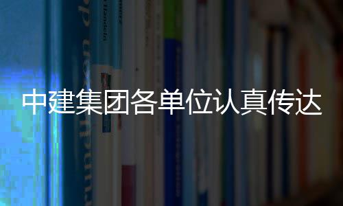 集团精神各单达学的二习党中建真传全会位认十届三中