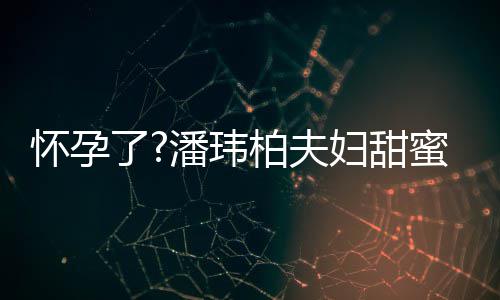 柏夫不露了蜜互宣云正面怀孕衣着潘玮拍 妇甜宽松