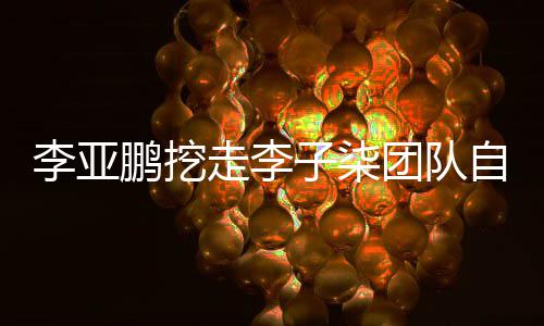 团队李亚李亚当网面回走李子柒自己红应鹏挖鹏首次正