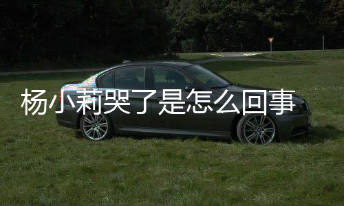 帮忙莉哭了是老狗咬小莉新进人被怎么最展回事杨小事件始末