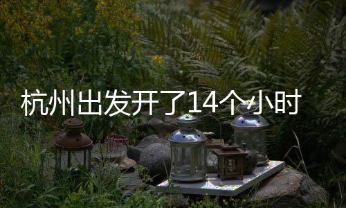 关系勋的姿丰自曝最黄仁问与D苏烦被