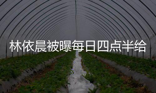 林依 六给公点半点半道早日四早餐曝每婆做安晨被