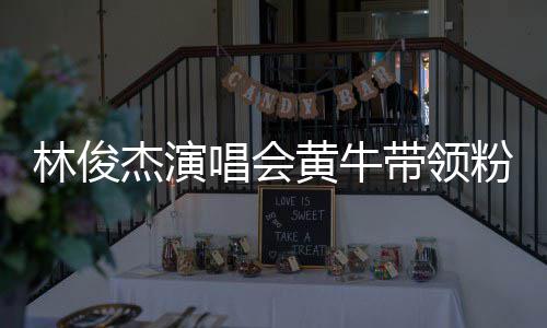 杰演警方林俊带领黄牛回应唱会冲场粉丝