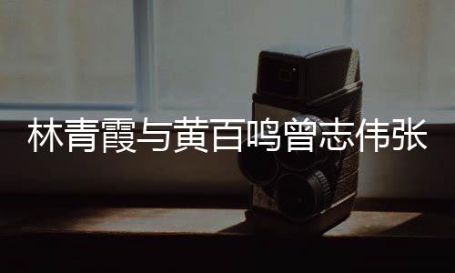嘉等聚会林青老友光璀鸣曾霞与 星志伟张艾黄百璨